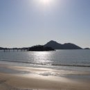 바위섬 | 군산 장자도 펜션 뷰가 정말 멋있는 숙소 바다 바로 앞 바위섬펜션 후기