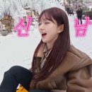 금성분식 이미지