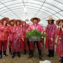 금일농장 이미지