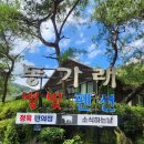 동가래별빛 - 1464 | 동가래별빛