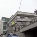 양노로 Daum카페