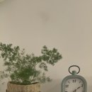 둔산대로117번길 | [대전] 도심 속 초록에 잠기는 편안한 분위기의 대전 공간대여 - "아우룸스페이스"