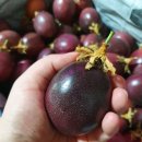 농군농장 이미지