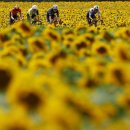 네일하우스 이미지