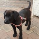 웰빙공인중개사사무소 이미지