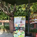 (유)동 호 | 2026/03/26 나혼자 2주 다낭여행:)2일차