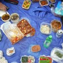 곰배령스케치 | 668. 제48차 곰배령 등산후기(7.19 일)