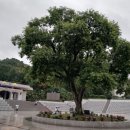 사랑나무공동체 이미지