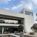 참존경산 | 대구 근교 경산 신상카페 인포그커피 대구한의대 카페