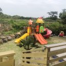 나무앤씨 키즈 이미지