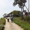 사계정사 이미지