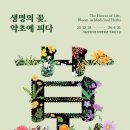 우리약초 이미지