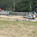 학암포한스하우스 이미지