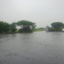 황대포녹두빈대떡 이미지