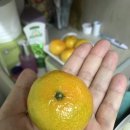 공차광주기독병원 이미지