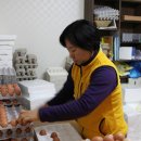 알 이미지