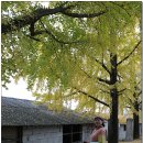 문화유산여행길(1코스) 이미지