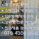 댕이쌀롱 이미지