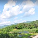 대가공인중개사사무소 이미지