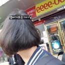뉴머리하는날