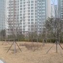 미사골드부동산공인중개사사무소 이미지