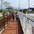 대룡초교 이미지