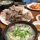 청춘요가 이미지