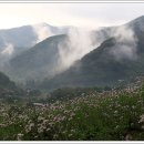 구절초테마공원 티스토리