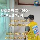 크린누리 | 반려동물 특수청소 오염이 심한 아파트 강아지털과 냄새 제거 후기