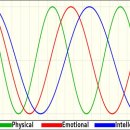 인체 - 리듬 이미지