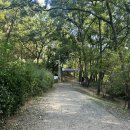 산우물공원 | 관악산 국기봉-연주대 코스로 다녀온 등산 후기