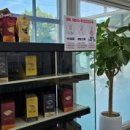 강남로(남) 이미지