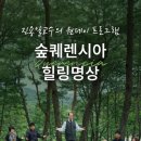 퀘렌시아 Daum카페