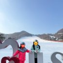 지산3로 | 지산포레스트리조트 스키장 슬로프, 커피숍, 푸드코트 후기
