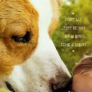 베일리 베일리 이미지