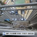 비둘기2길 이미지