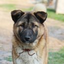 검산 농장 이미지