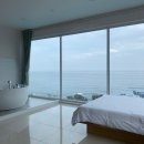 테스226(TESS226)