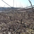 규용농장 이미지