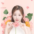 제이준성형외과의원 이미지