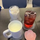 아로하AROHA | 강남 고속터미널역 카페 아로하커피 여유롭고 늦게까지 하는 카페