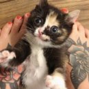 (주)리타미디어 이미지