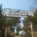 드린겐 애견테마파크 이미지