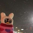 힐링스 이미지