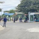 신창신곡보건진료소 | 백종원 골목식당 금악마을 타코집 방문후기