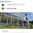 법인대관령순수양떼목장