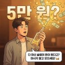 마시지 말고 모으세요! 다 마신 공병도 5만 원? 위스키·와인 '술테크' 현실 가이드