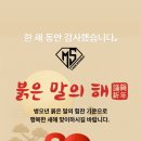 분당명성태권도장 이미지