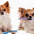 진서울치과의원 이미지