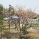 예산축산업협동조합 이미지